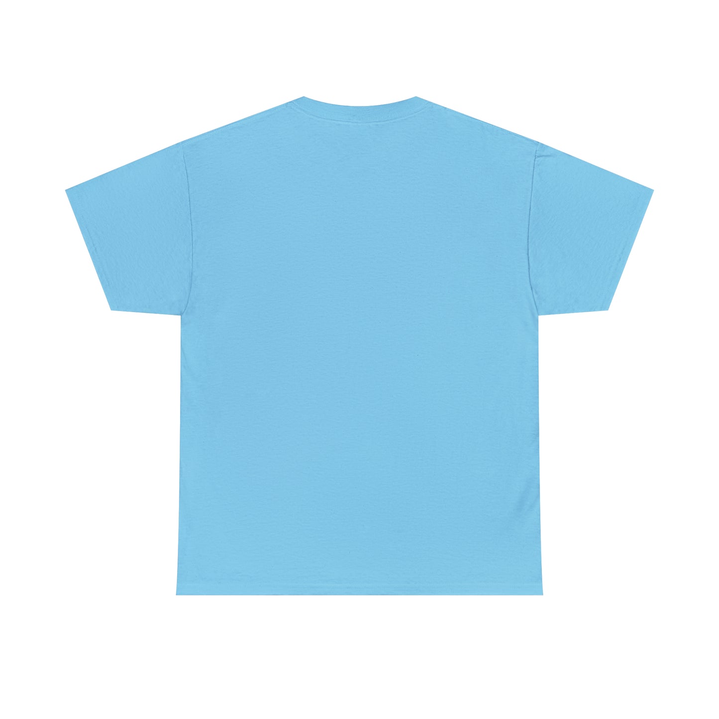 FULU Unisex Heavy Cotton Tee