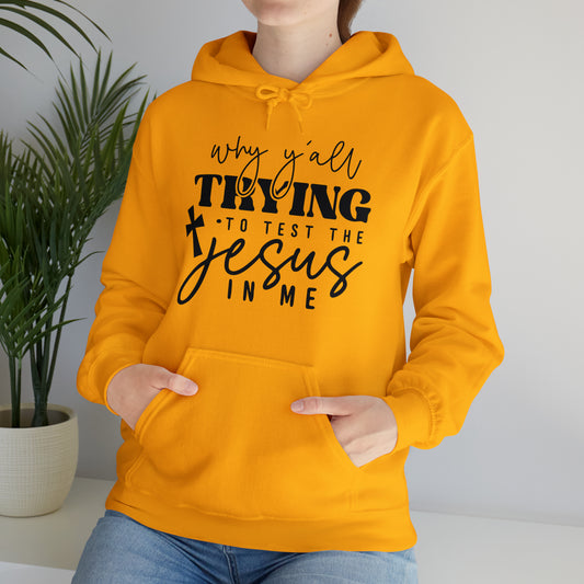 Testing my Jesus Unisex Heavy Blend™ Hooded Sweatshirt